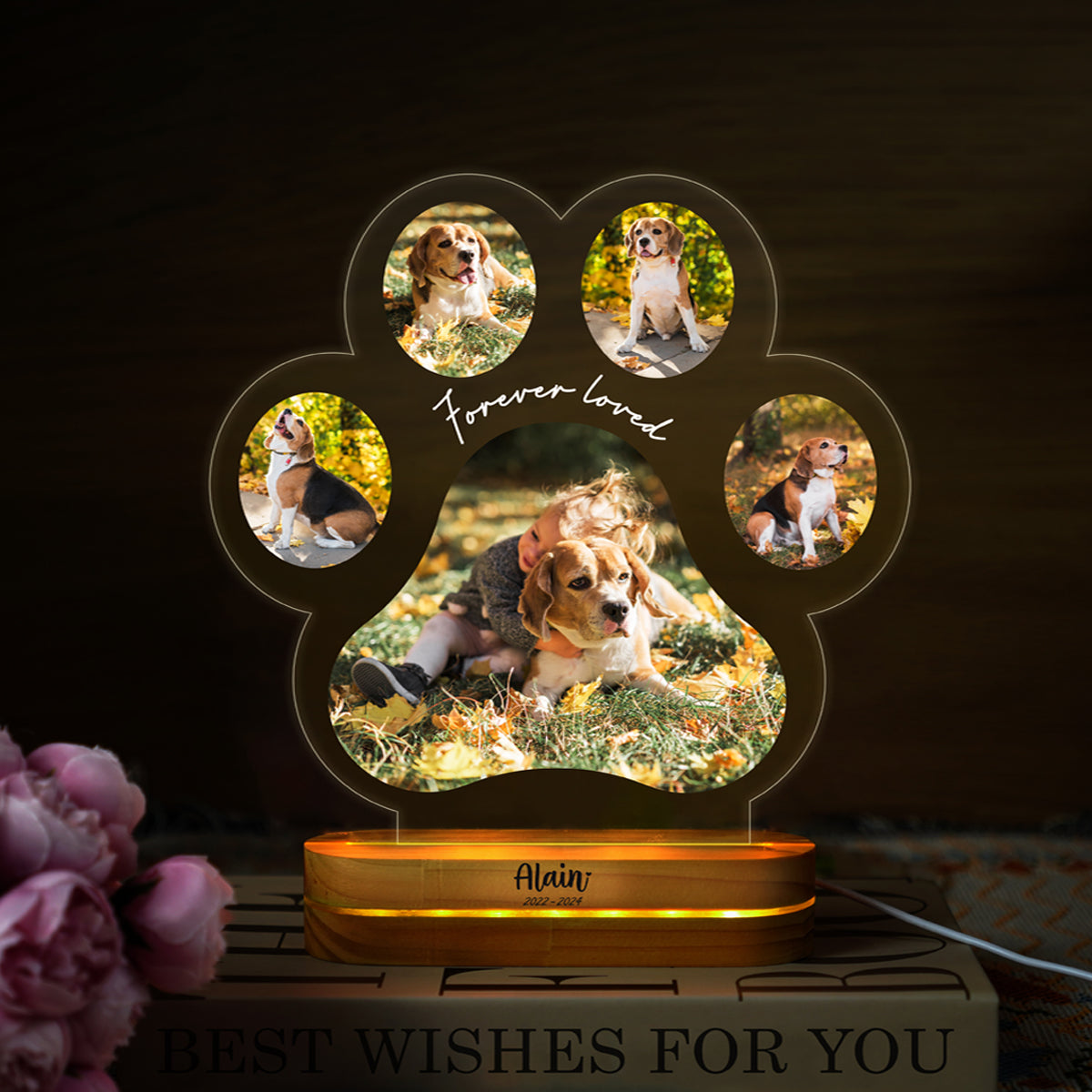 Personalized Pet Memorial Night Light, Loss Of Pet, Custom Dog Paw Photo Acrylic, Led Night Pet Loss Gift