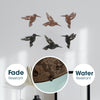 SET OF 6 BLACK AND BROWN HUMMINGBIRD WOOD WALL DECOR