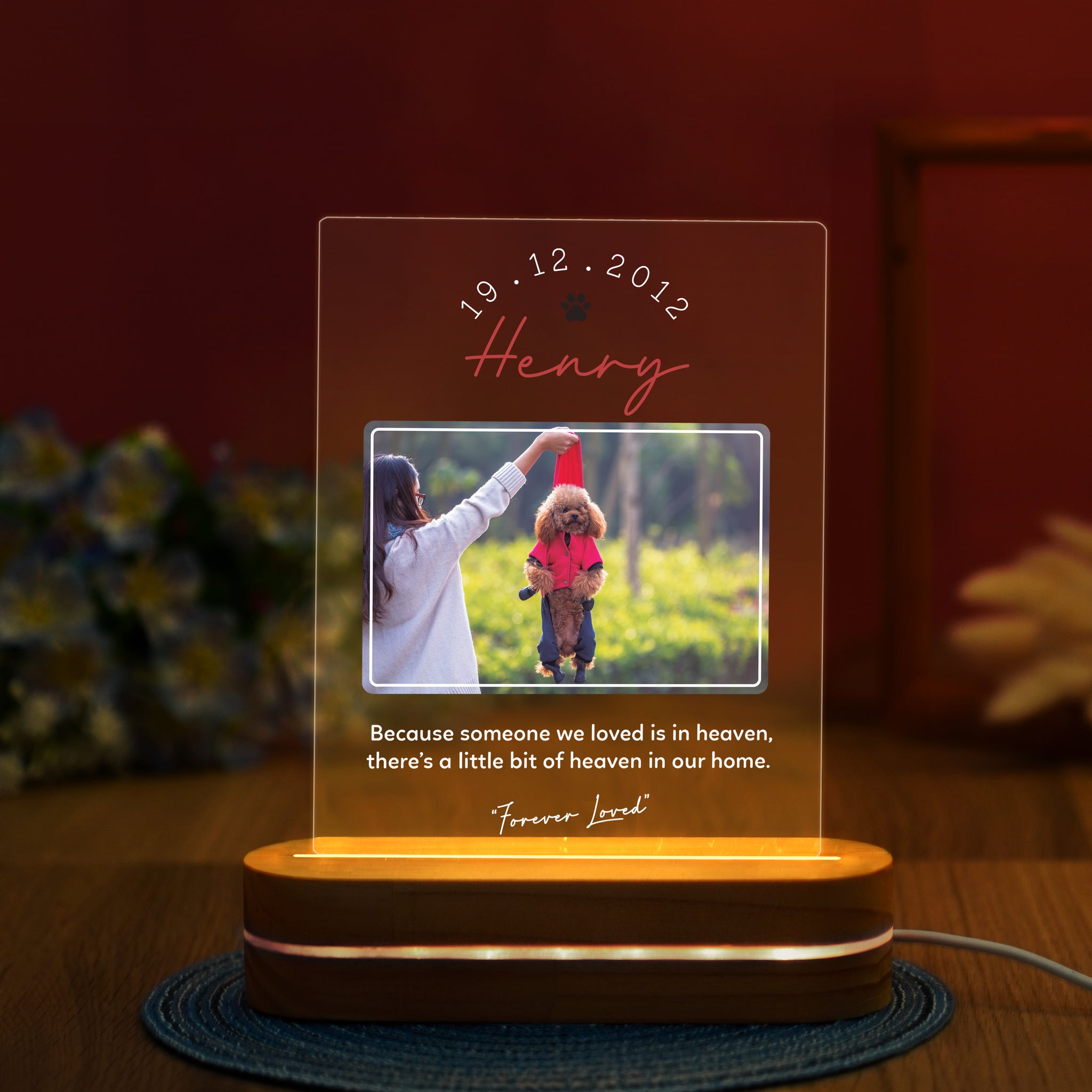 Personalized Pet Memorial Night Light, Loss Of Pet, Pet Sympathy Gift, Pet Memorial Light