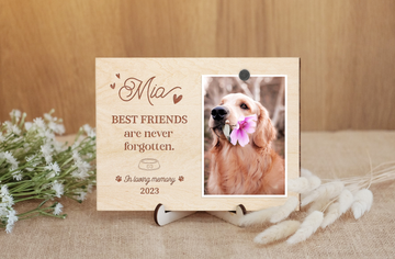 Pet Memorial Gift Best Friends Are Never Forgotten Pet Sympathy Personalization Pet Loss Frame Dog Memorial Gift