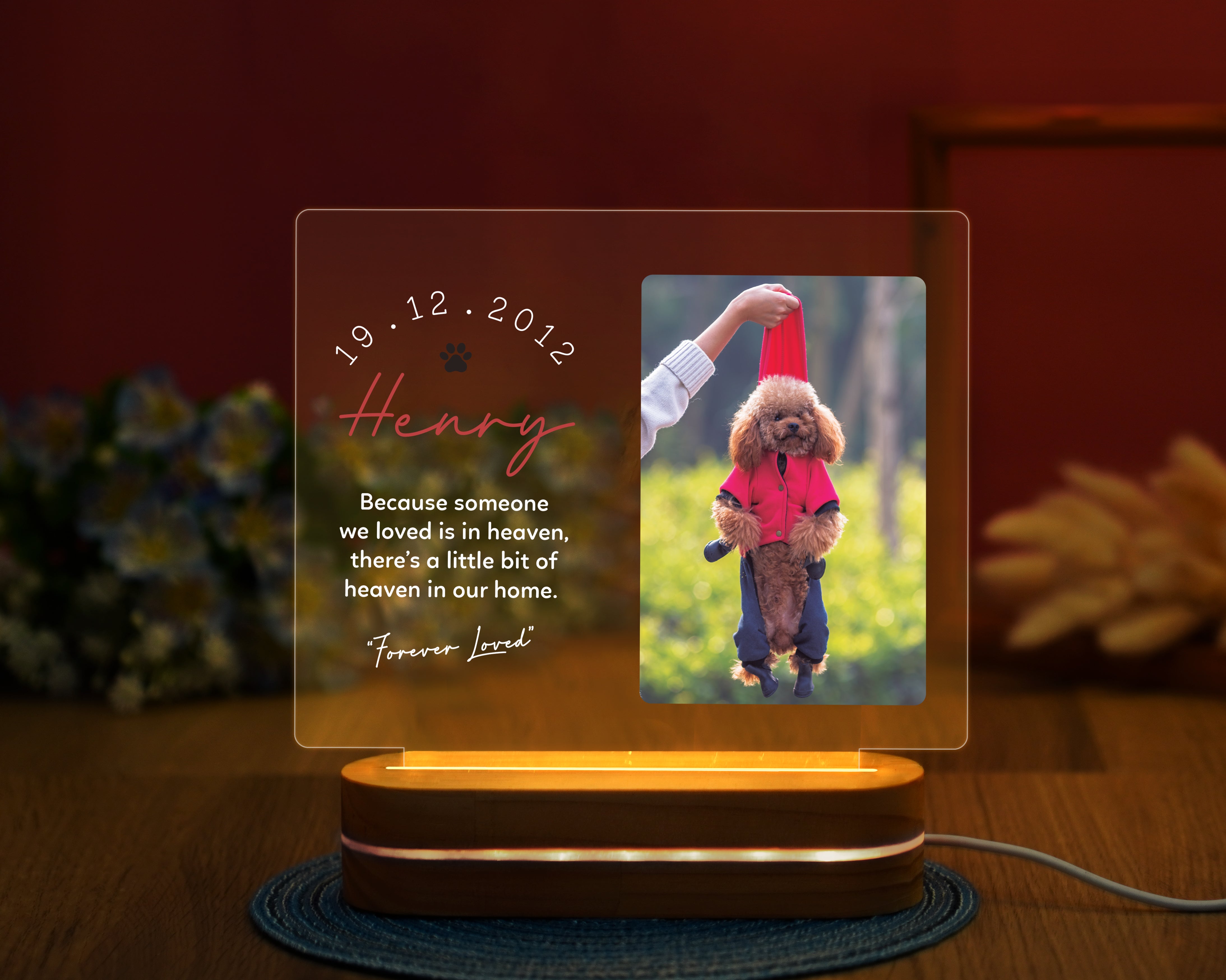 Personalized Pet Memorial Night Light, Loss Of Pet, Pet Sympathy Gift, Pet Memorial Light