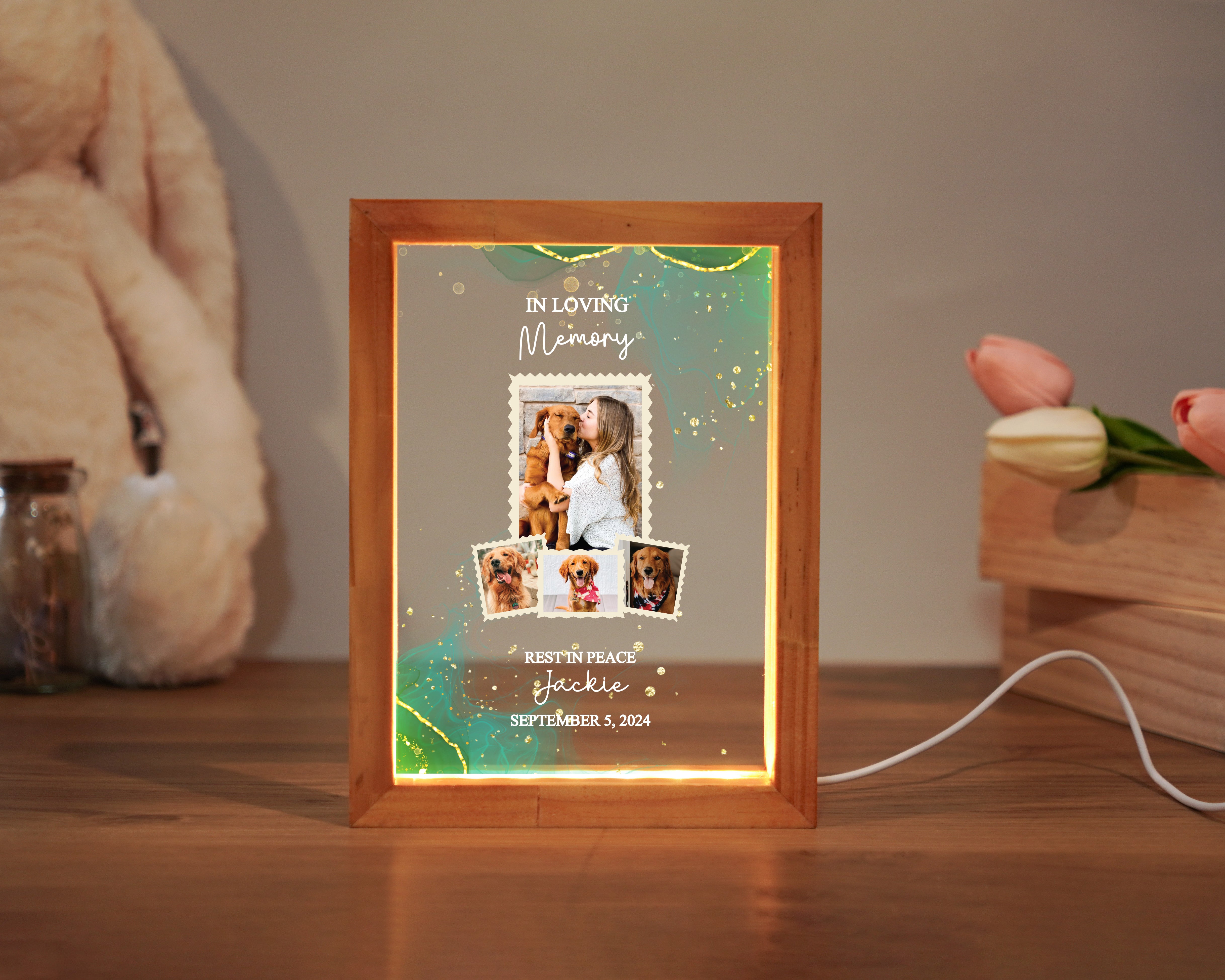 Personalized Pet Memorial Night Light, Loss Of Pet, Pet Memorial Light