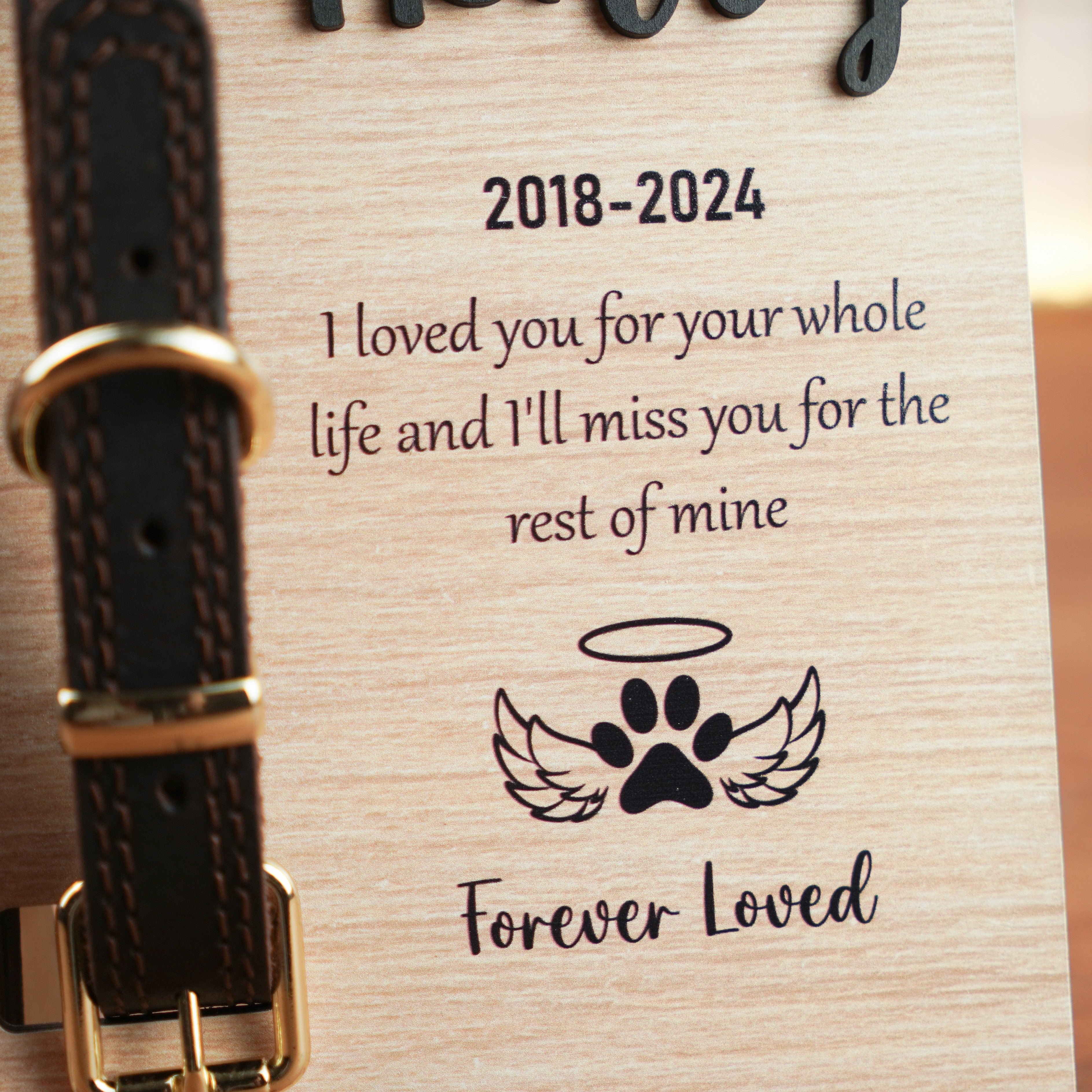 DNPETS Emotional Customized Dog Collar Frame Memorial Pet Loss Gift