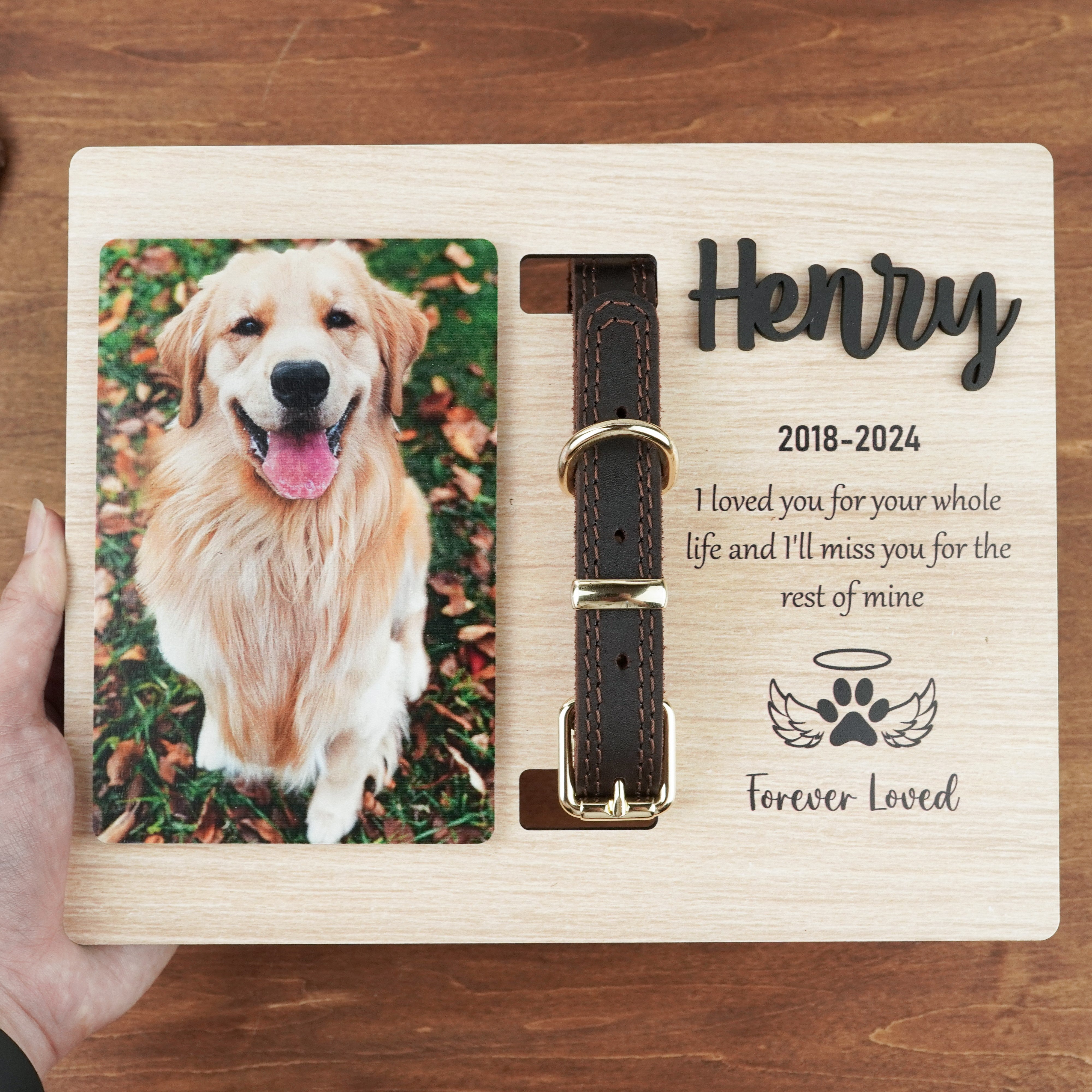 DNPETS Emotional Customized Dog Collar Frame Memorial Pet Loss Gift