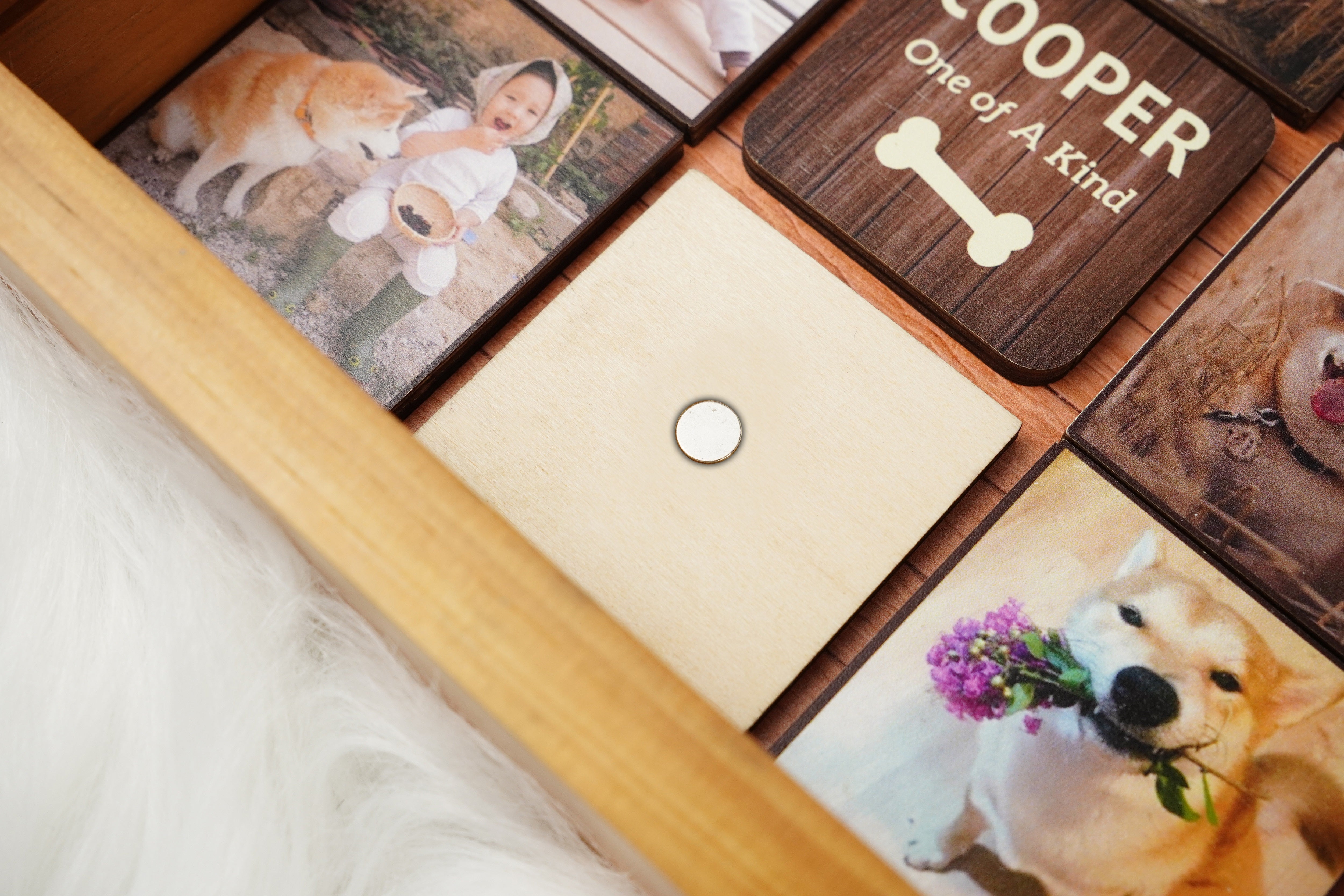 Personalized Pet Memorial Shadow Box SD-PET1