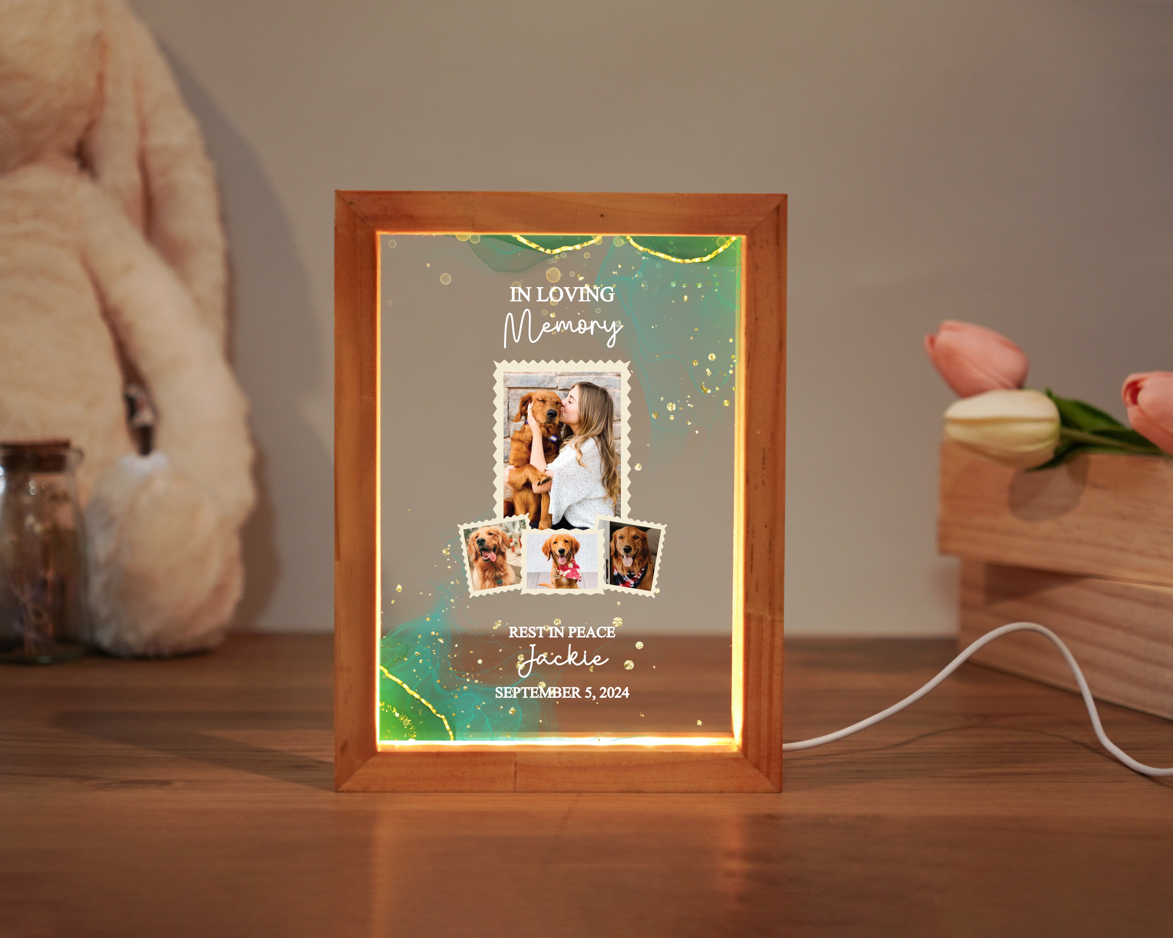 Personalized Pet Memorial Night Light, Loss Of Pet, Pet Memorial Light