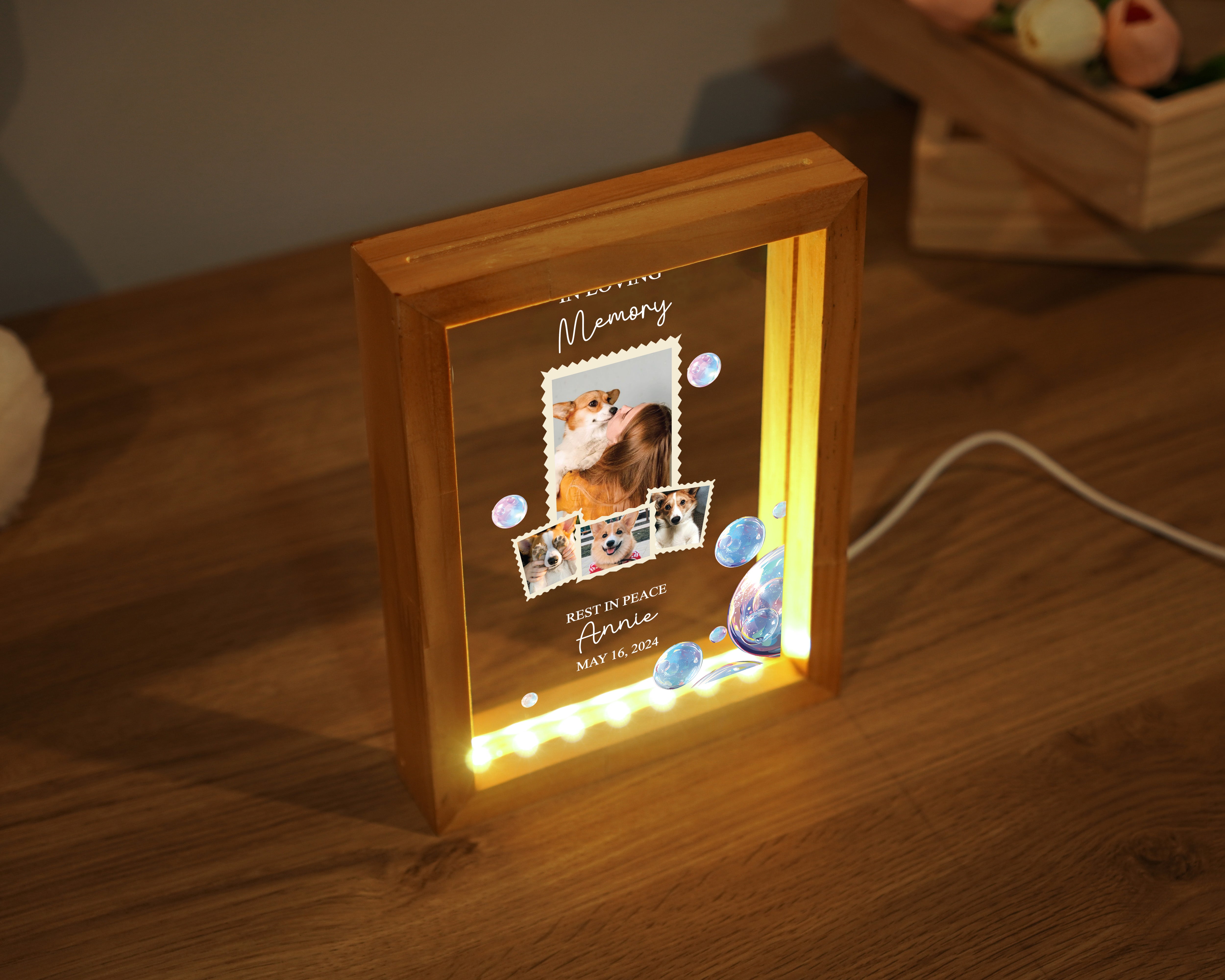 Personalized Pet Memorial Night Light, Loss Of Pet, Pet Memorial Light