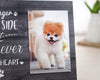 DNPETS Meaningful Pet Memorial Photo Frame Printed Wooden Dog Loss Gift