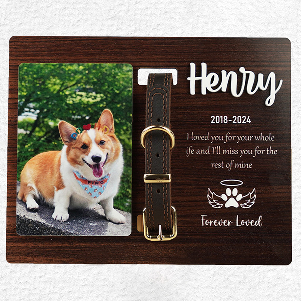 DNPETS Emotional Customized Dog Collar Frame Memorial Pet Loss Gift