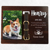 DNPETS Emotional Customized Dog Collar Frame Memorial Pet Loss Gift