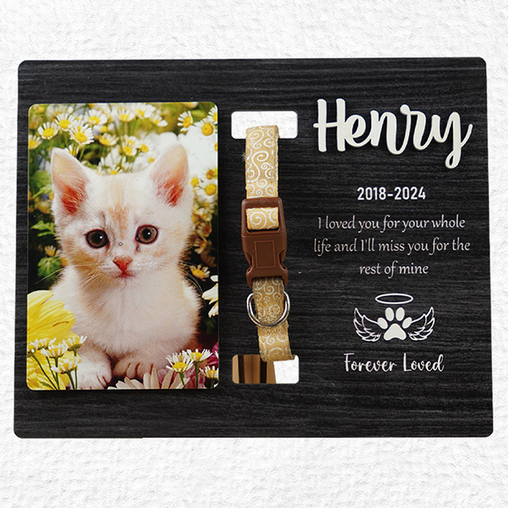 DNPETS Emotional Customized Dog Collar Frame Memorial Pet Loss Gift