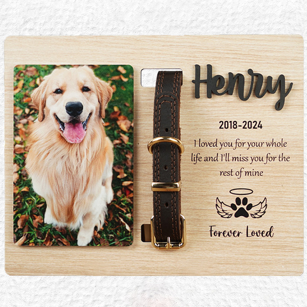 DNPETS Emotional Customized Dog Collar Frame Memorial Pet Loss Gift