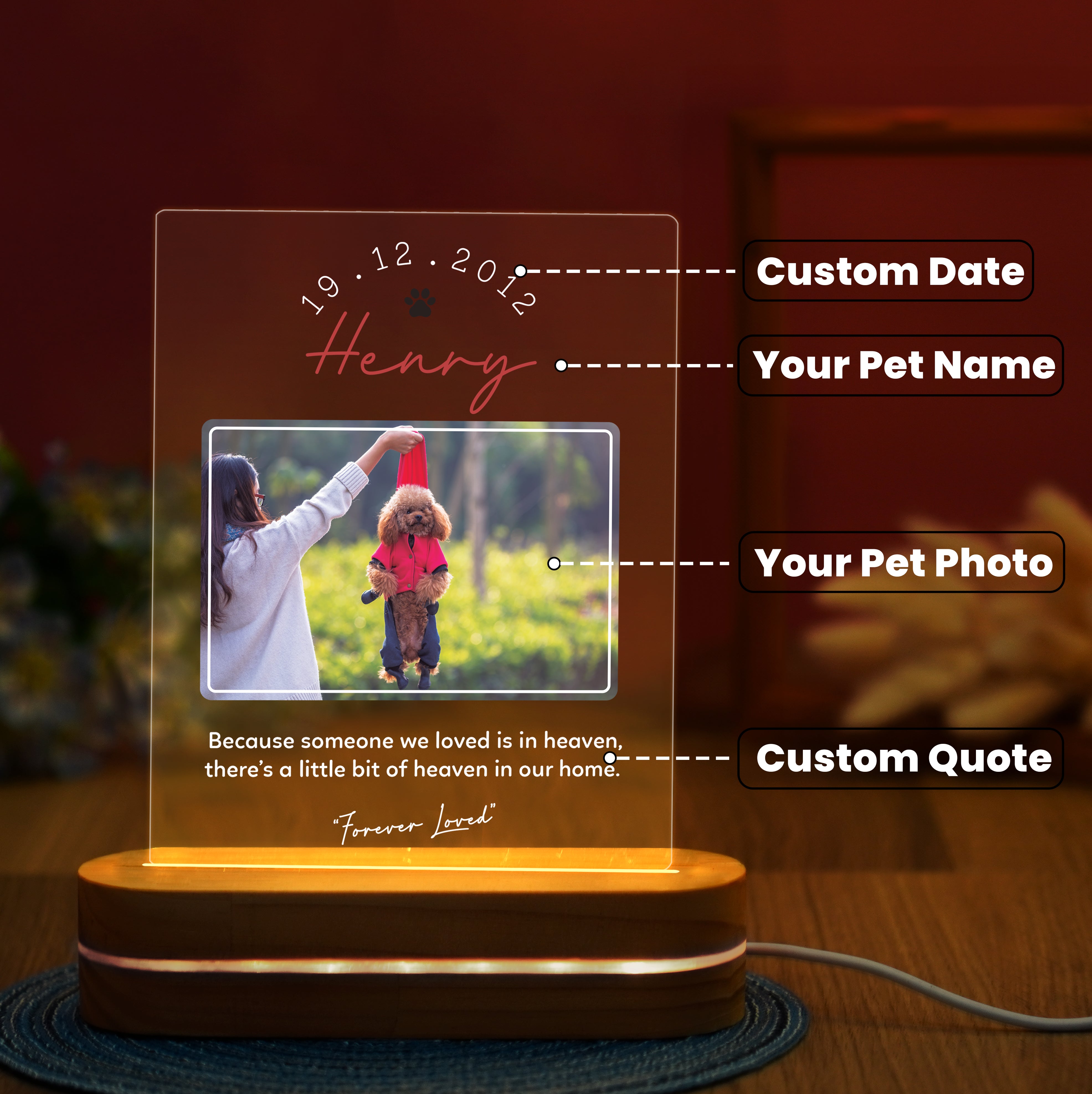 Personalized Pet Memorial Night Light, Loss Of Pet, Pet Sympathy Gift, Pet Memorial Light