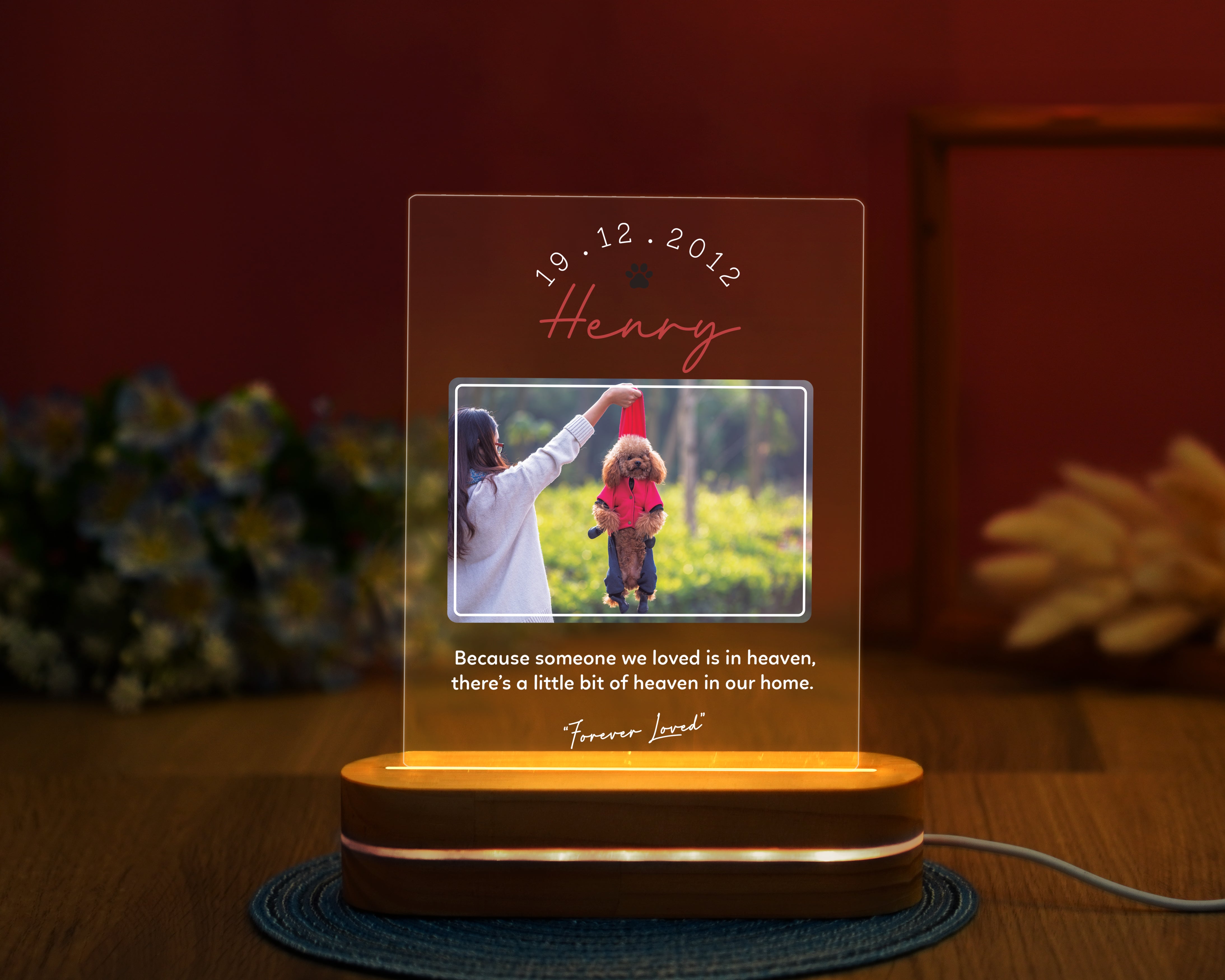 Personalized Pet Memorial Night Light, Loss Of Pet, Pet Sympathy Gift, Pet Memorial Light