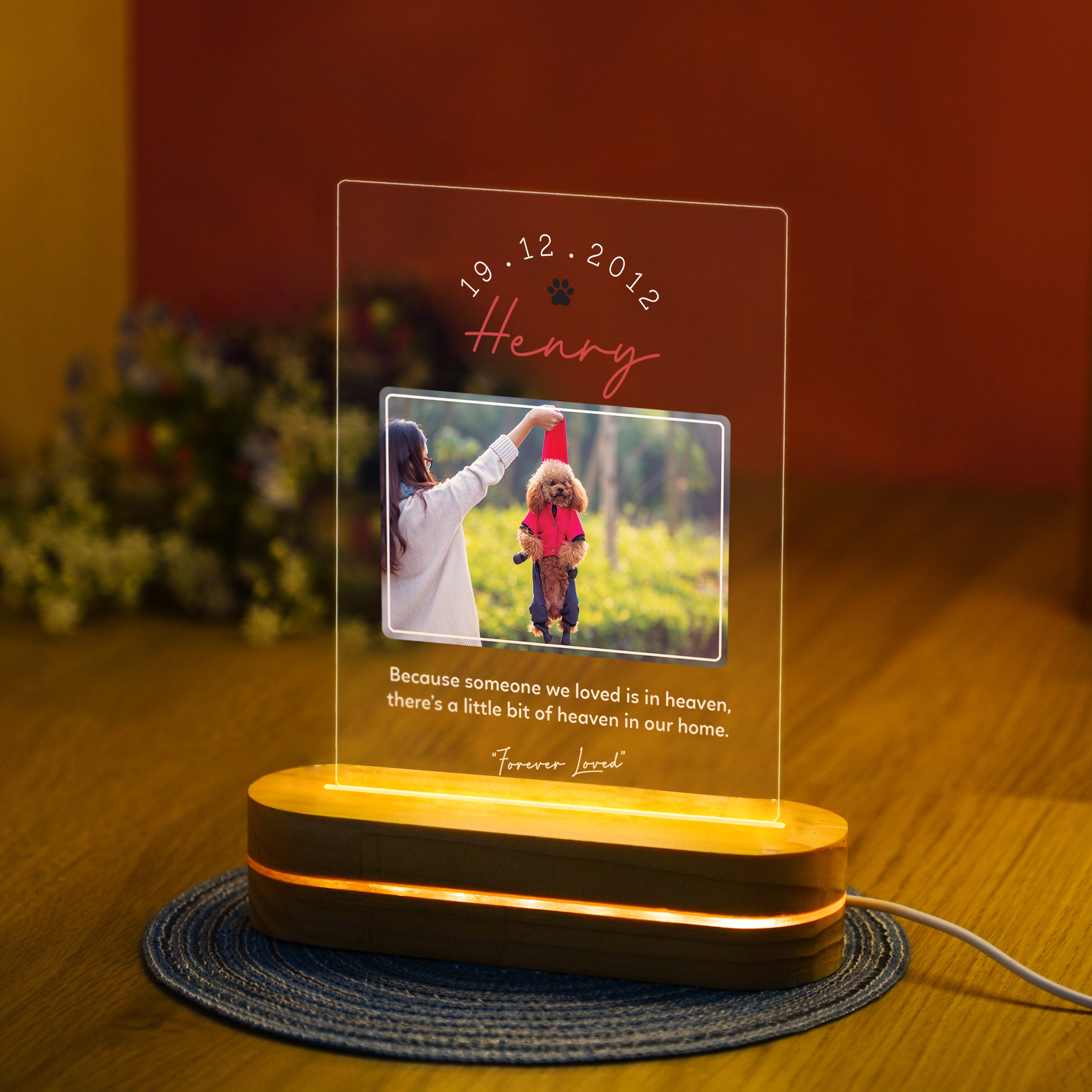 Personalized Pet Memorial Night Light, Loss Of Pet, Pet Sympathy Gift, Pet Memorial Light