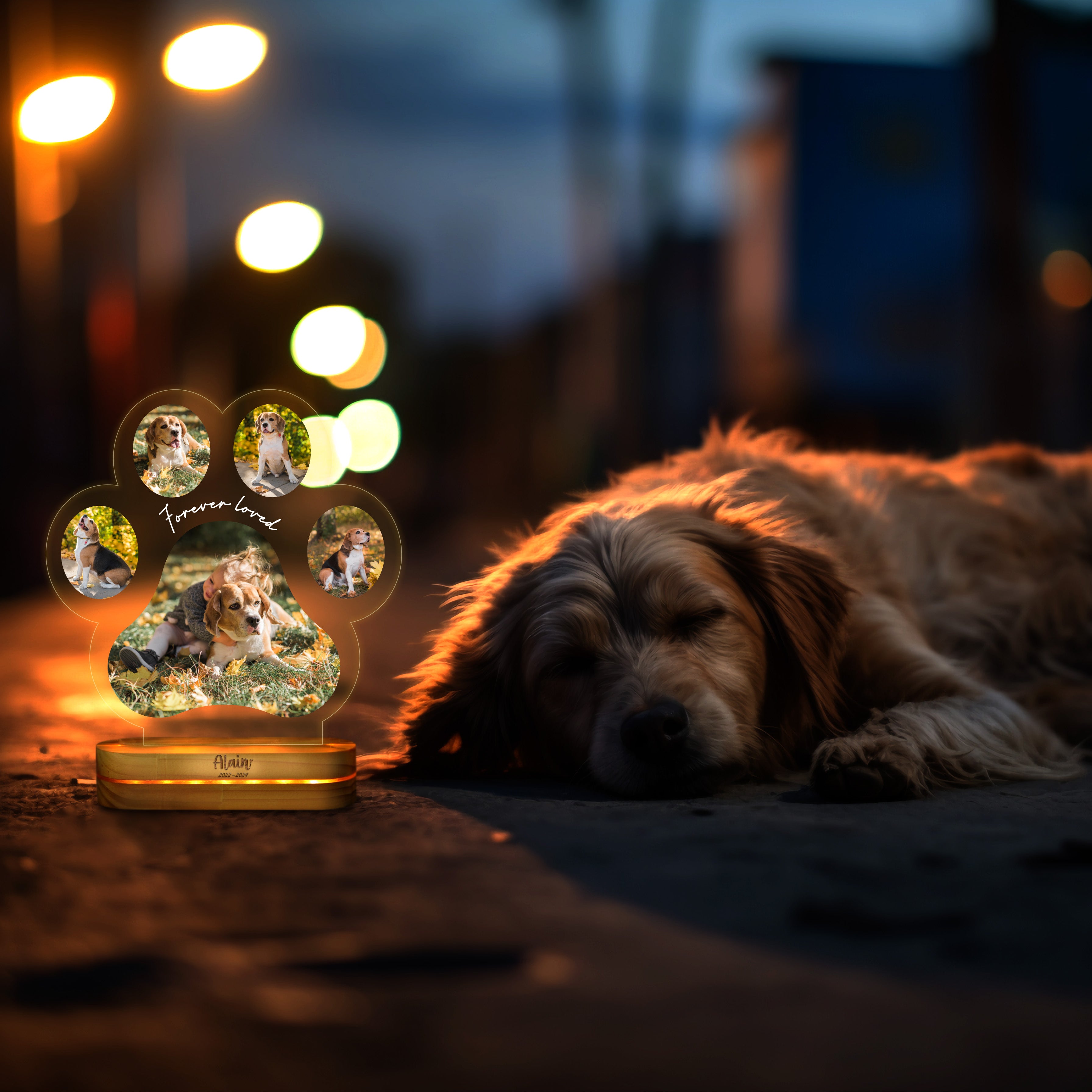 Personalized Pet Memorial Night Light, Loss Of Pet, Custom Dog Paw Photo Acrylic, Led Night Pet Loss Gift