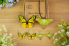 Wooden Butterfly Jewelry Set Luna Moth Insect Pedants Earrings