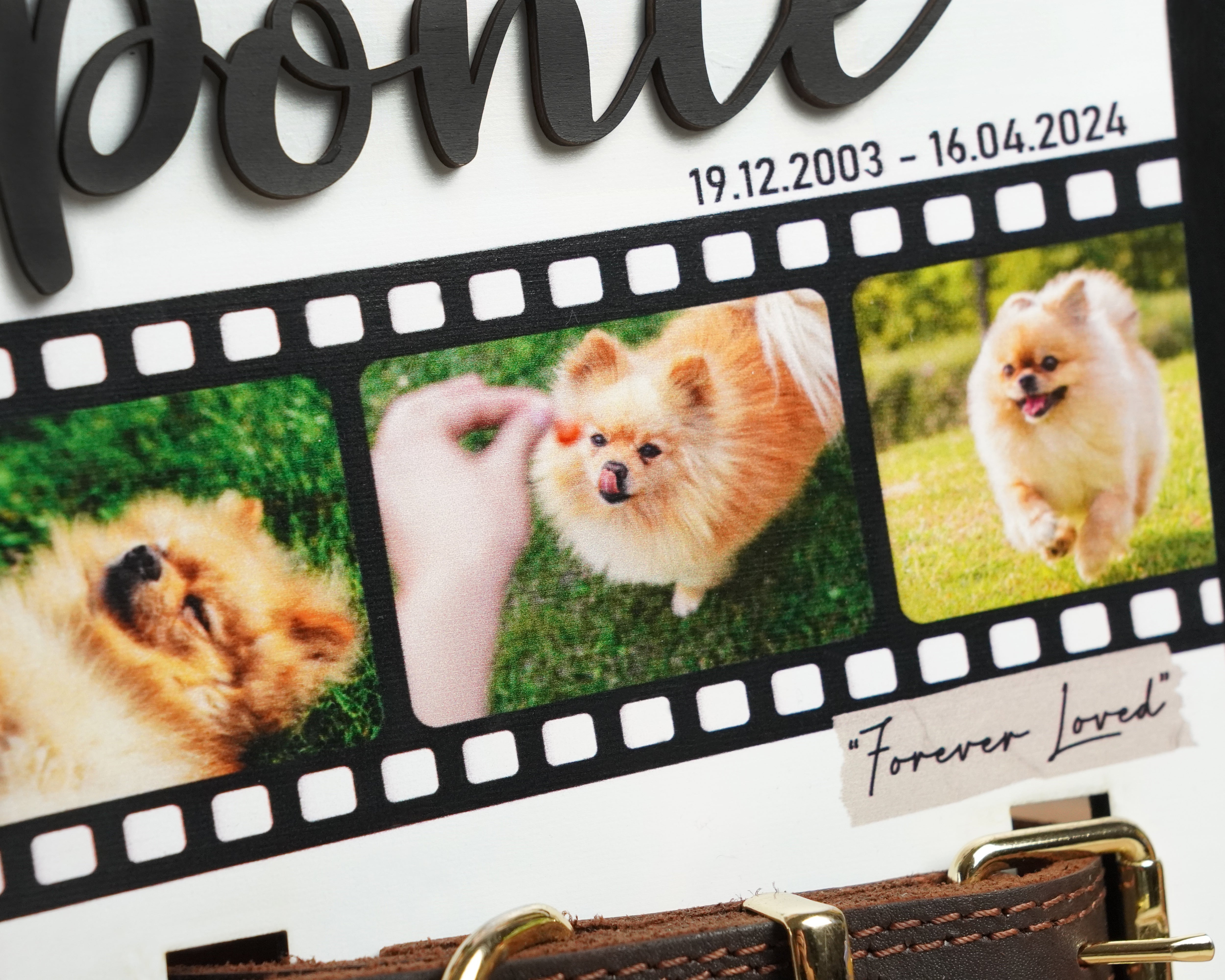 DNPETS Pet Memorial Photo Frame with Collar Holder Pet Loss Gift