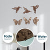 SET OF 6 BROWN BUTTERFLY WOOD WALL DECOR AND BIRD WALL DECOR WOODEN